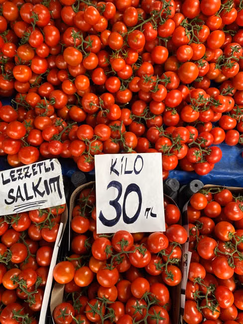 Tomate Italiano (kg)